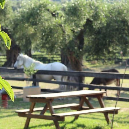 Honigtal Farmland Villa Agios Georgios Pagon Luaran gambar
